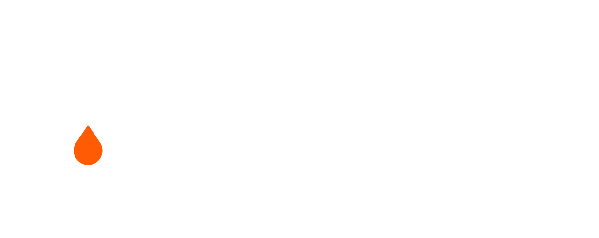 Logotipo de BNEX Homolog